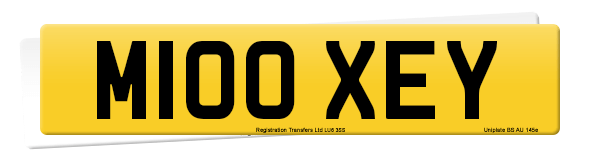 Registration number M100 XEY